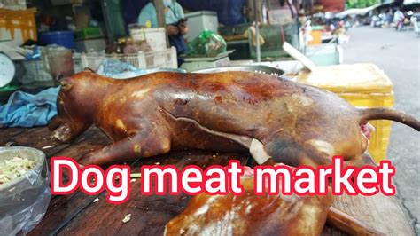 can dogs eat monde mamon|Dog meat consumption in Vietnam .